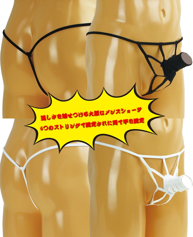 EFbgnGt@gXgbvfXg GV[c YTobN jp TW205